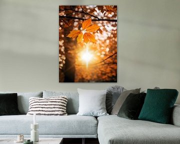 Autumn Leaves in Sunlight V1 by drdigitaldesign