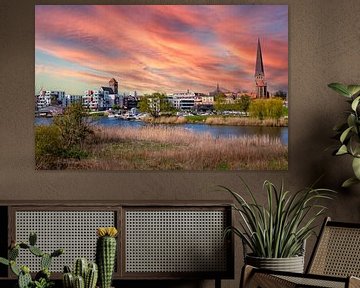 Panorama van de stad Rostock in Duitsland van Animaflora PicsStock