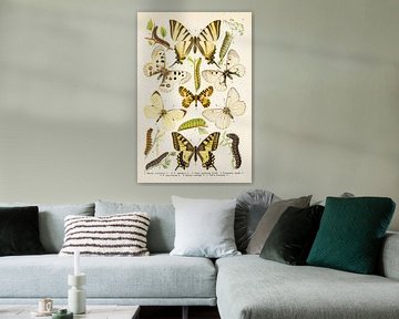 Plaat met 7 vlinders in wit en gele tinten. van Studio Wunderkammer