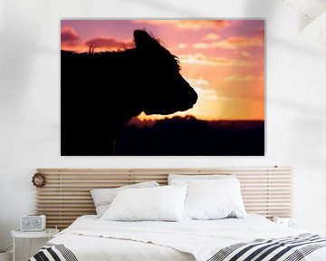Zonsondergang met silhouet van Schotse Hooglander koe van Dexter Reijsmeijer