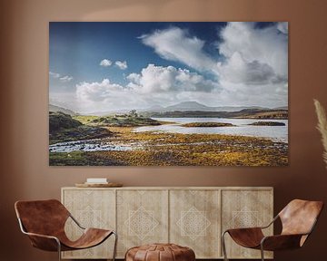 Des lieux paisibles et abandonnés en Écosse. Tourbières, herbes grasses, zones humides inondées avec peu de végétation. sur Jakob Baranowski - Photography - Video - Photoshop