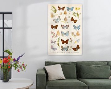 Schulteller mit Schmetterlingen und Raupen in silbrigem Blau. von Studio Wunderkammer