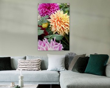 Sacred Colour 2- Dahlia Offer Thailand van Tessa Jol Photography