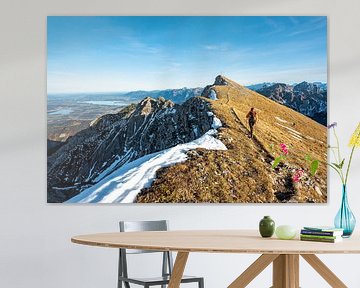 Blick auf das Brentenjoch und das Ostallgäu von Leo Schindzielorz