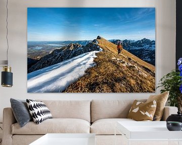 Blick auf das Brentenjoch und das Ostallgäu von Leo Schindzielorz