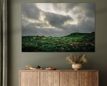 Die menschenleere Weite der schottischen Highlands. Isle of Skye von Jakob Baranowski - Photography - Video - Photoshop