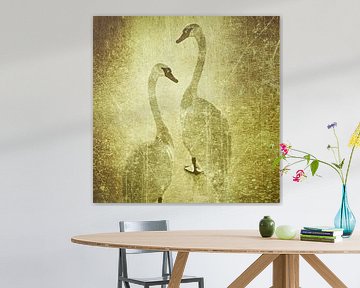 Swan gold by Christine Nöhmeier