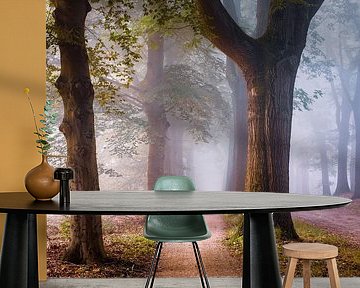 Lane of lucid love by Tvurk Photography