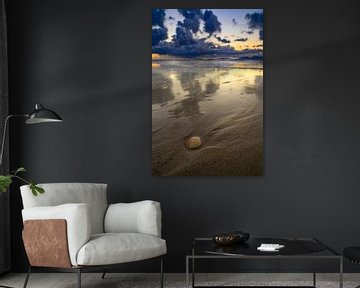 Sonnenuntergang am Strand von Texel mit einer angespülten Muschel am Ufer von Sjoerd van der Wal Fotografie