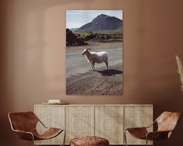 Le Bélier en Islande sur Lauw Design & Photography