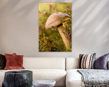 Mushroom with fly. by Alie Ekkelenkamp