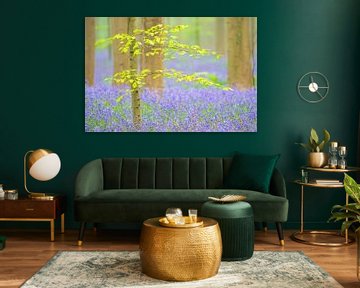 Forêt de Bluebell avec des fleurs de jacinthes sauvages sur le sol de la forêt sur Sjoerd van der Wal Photographie