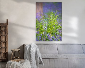 Farn in Nahaufnahme in einem Bluebell-Wald mit blühenden wilden Hyazinthenblüten von Sjoerd van der Wal Fotografie