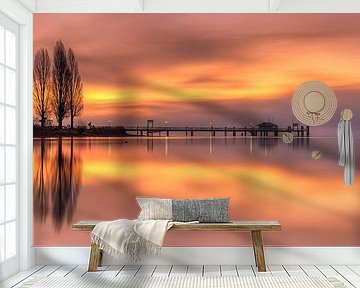 Rays of hope by Judith Kuhn