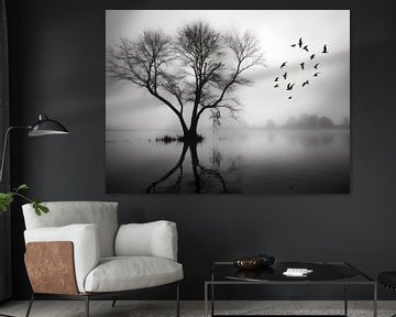 Zwart wit boom vogels van Ellen Reografie