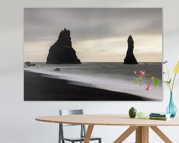 Reynisfjara (IJsland) van Marcel Kerdijk