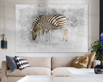 zebra by Bert Quaedvlieg