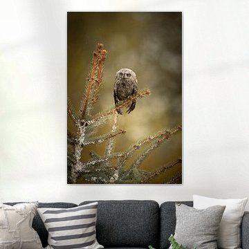 Owl in a pine tree painting in shades of green