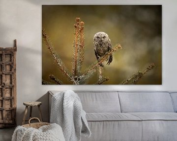 Owl in a pine tree painting in shades of green - landscape by KB Design & Photography (Karen Brouwer)