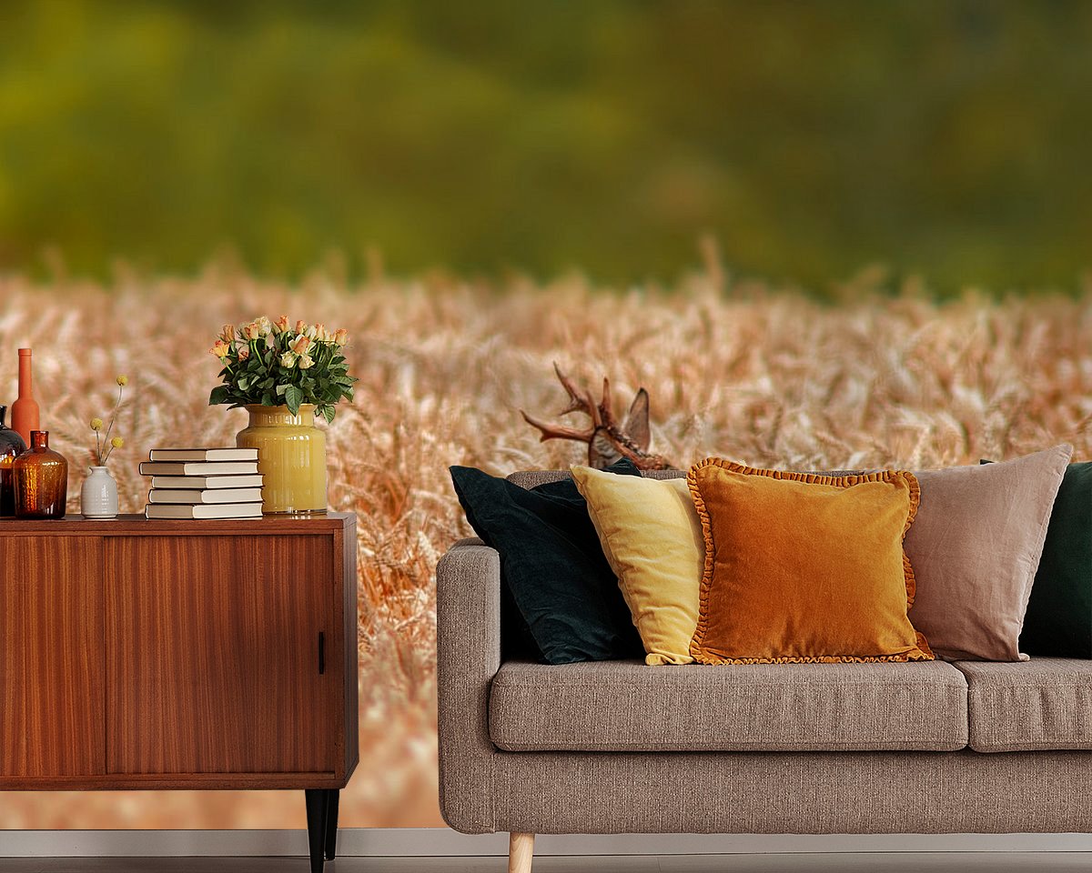 Raumvorschau