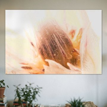 Protea dans la glace 3