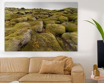 Mossed lava fields (Iceland) by Marcel Kerdijk