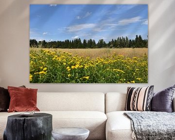 A field of oats in autumn by Claude Laprise