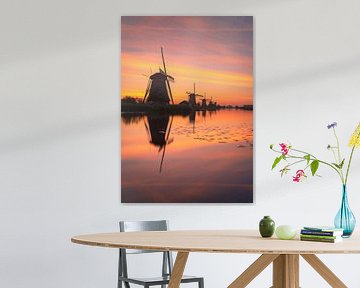 Kleurende zonsopgang bij Kinderdijk molens