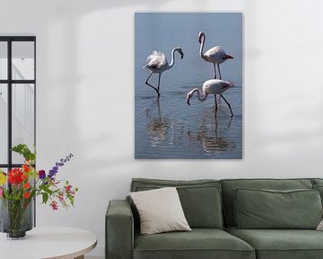 Flamingo's in de Camarque van Kees Rustenhoven