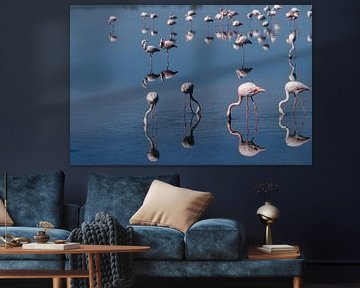 Flamingo's dans le delta du Rhône, dans le sud de la France. sur Kees Rustenhoven