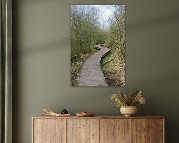 Decking path with greenery by Manjek Schellekens