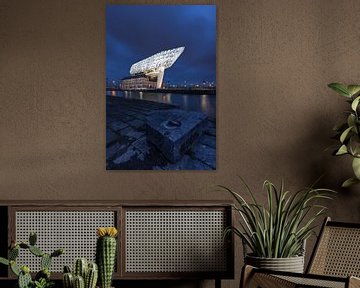 Antwerpener Hafenhaus von Trudiefotografie