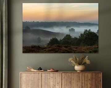 Heather on the posbank in the morning mist by René Jonkhout