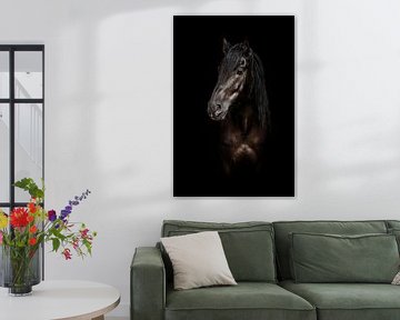Fineart mérens paard van Evelyne Van Heuverzwyn
