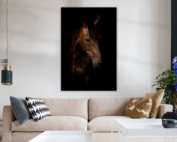 Blackfoto paard van Ellen Van Loon