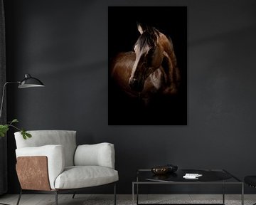 Blackfoto hoofd paard van Ellen Van Loon