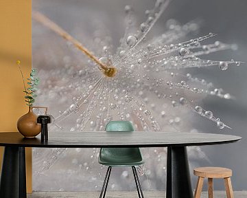Water droplets on a dandelion fluff by Marjolijn van den Berg