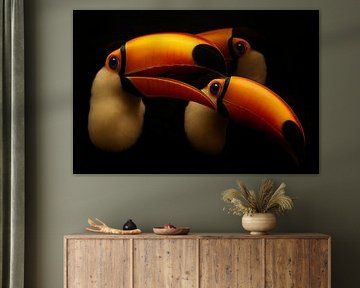 Toucan by Bert Quaedvlieg