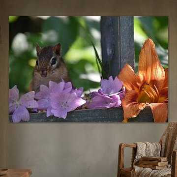 Ein Eichhörnchen im Garten im Sommer von Claude Laprise