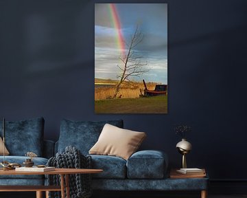 Magische regenboog over de rivieroever in de Oderbruch van Silva Wischeropp