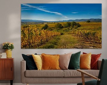 Autumn in the vineyards of Alsace by Tanja Voigt