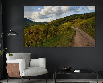 Autumn in the vines in Alsace by Tanja Voigt