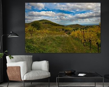Autumn in the vineyards of Alsace by Tanja Voigt