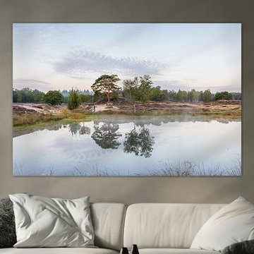 Réflexion dans l'étang forestier du domaine de Heidestein sur Peter Haastrecht, van