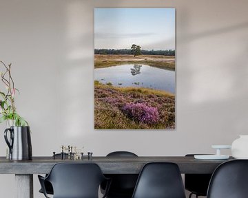 Purple heather along the forest pond on heidestein estate! by Peter Haastrecht, van