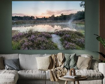 Paarse heide langs de bosvijver op landgoed heidestein!