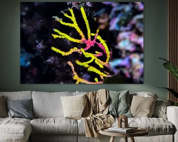 Underwater Art - Koraal van LISA DC