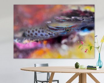 UNDERWATER ART - CHAFAROCA van LISA DC