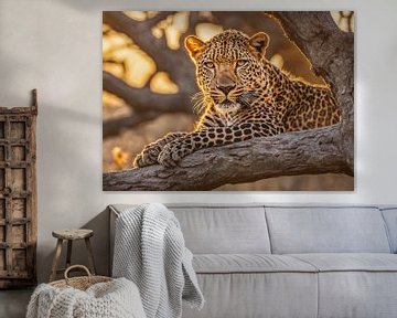 Leopard lurking for prey by Kees van den Burg
