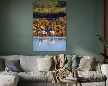 Flamingos in Mallorca by t.ART